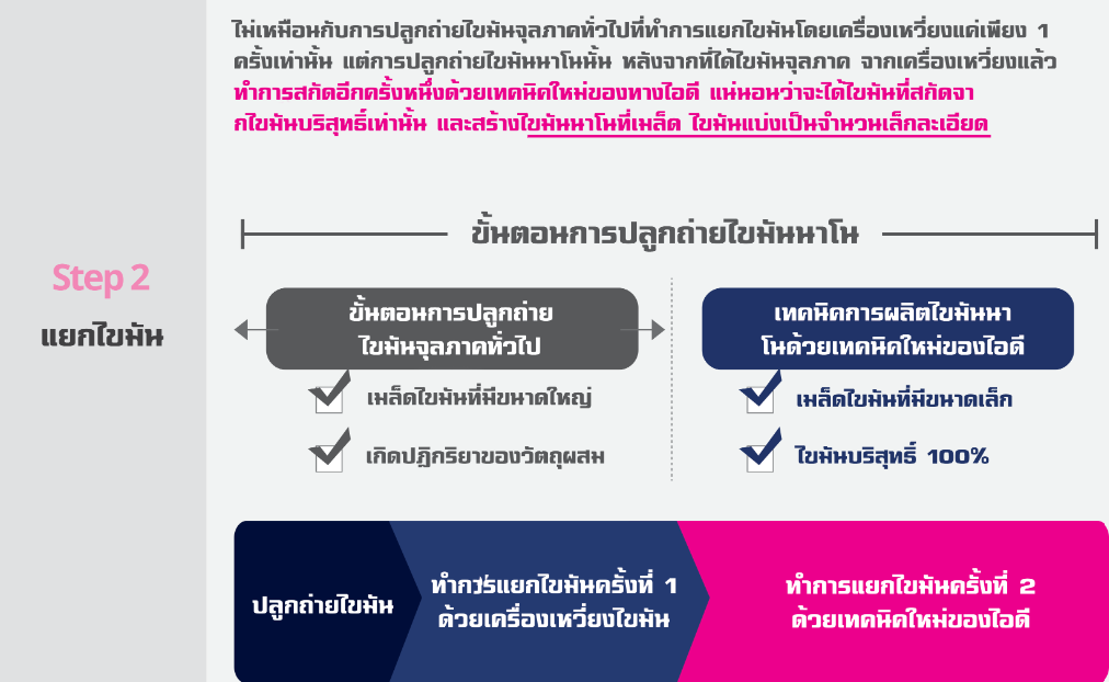 ฉีดไขมันหน้า